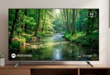 APK tienes que instalar en Android TV.