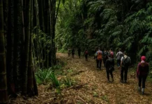 Apps para aventuras al aire libre de Android.