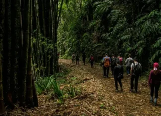 Explora la naturaleza con confianza usando una de estas apps para aventuras al aire libre Apps para aventuras al aire libre de Android.