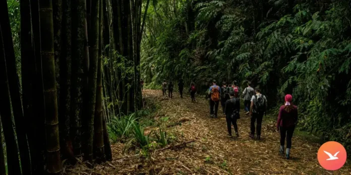 Apps para aventuras al aire libre de Android.