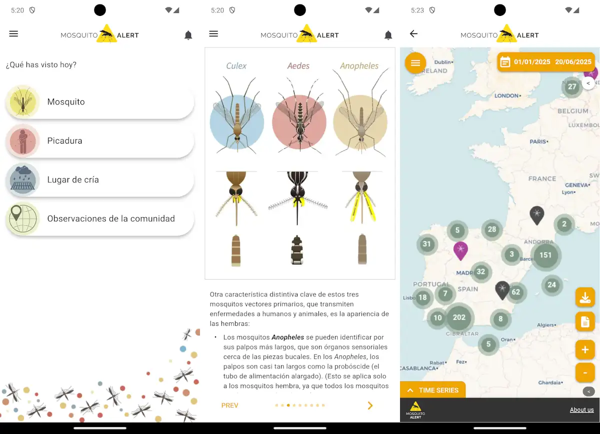 App de mosquito Alert.