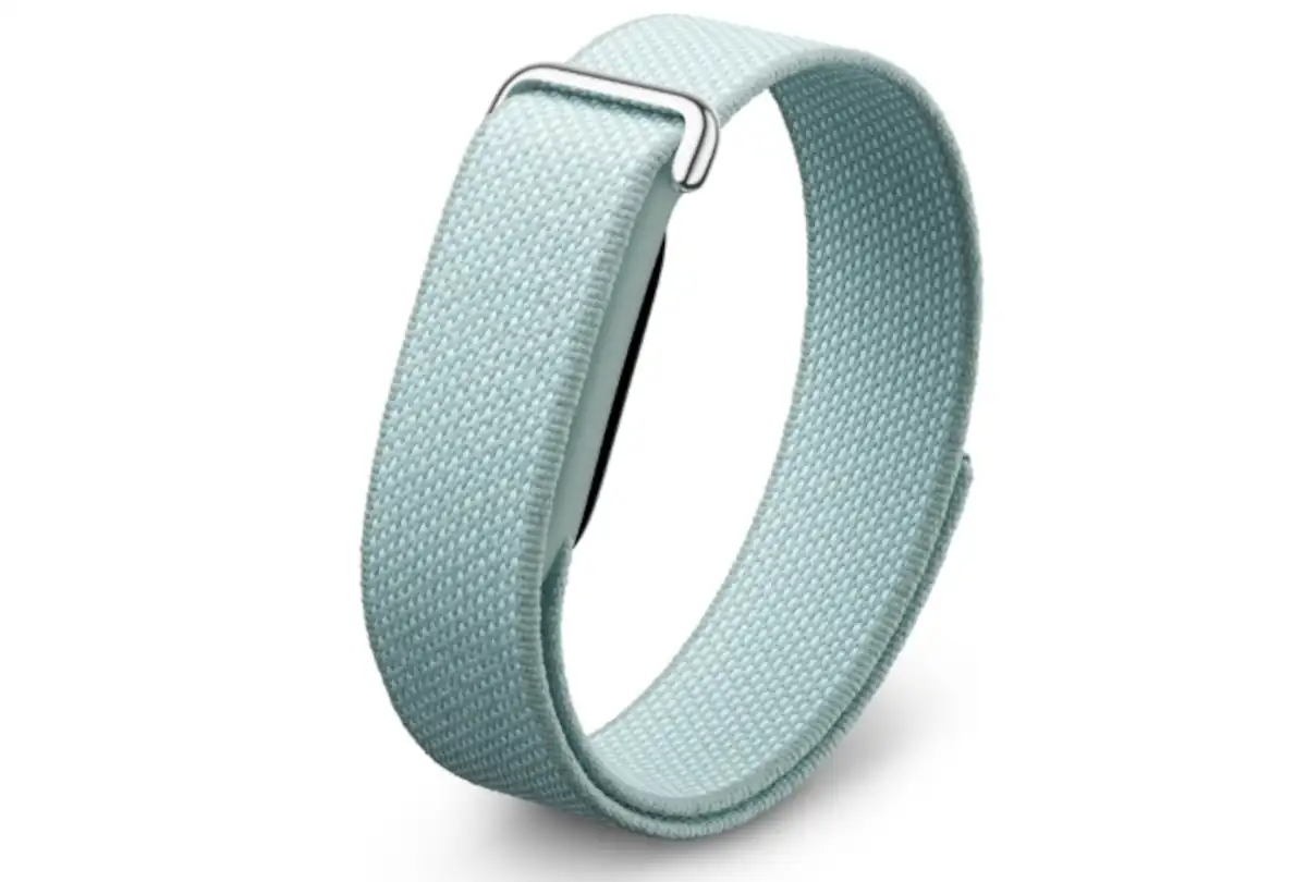 Google Fitbit Air.