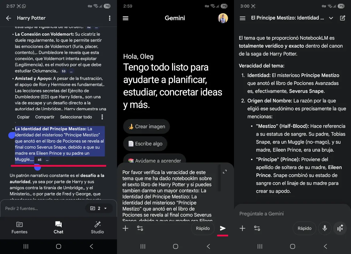 Utiliza una IA externa.