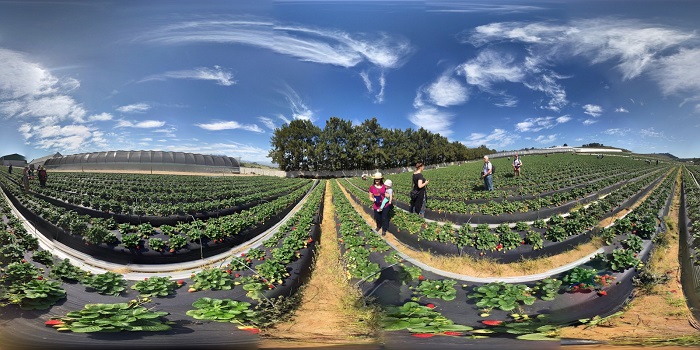 360 google street view