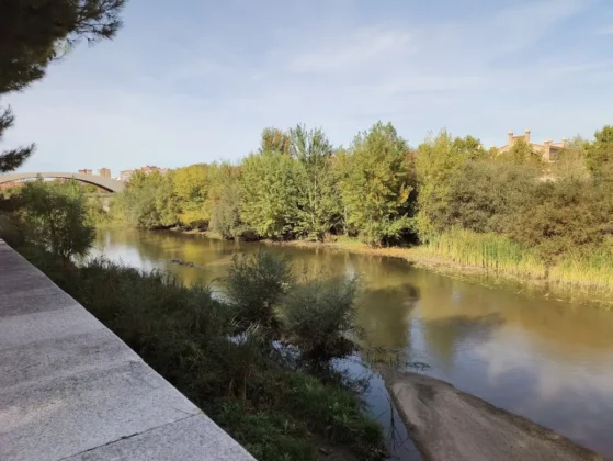 AGM G3 PRO zoom 1x lago