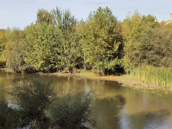 AGM G3 PRO zoom 2x lago