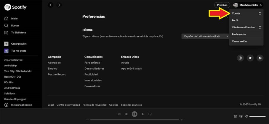 Acceder a las opciones de tu cuenta de Spotify