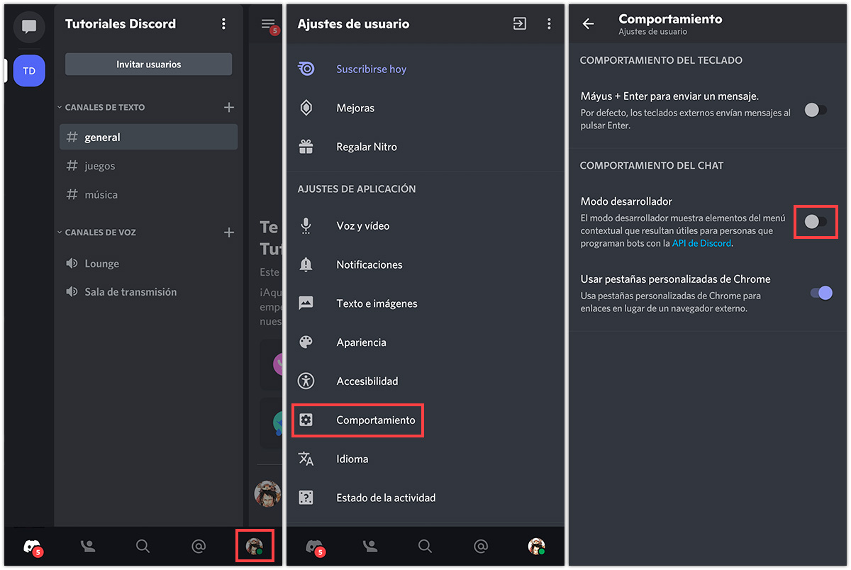 Activar modo desarrollador Discord Movil