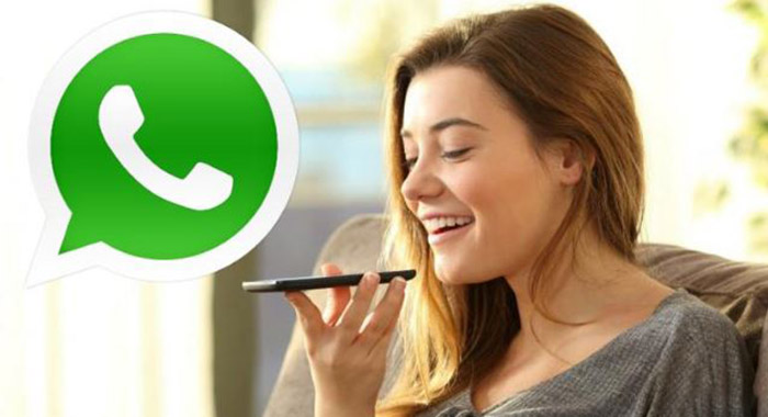 Actualización WhatsApp
