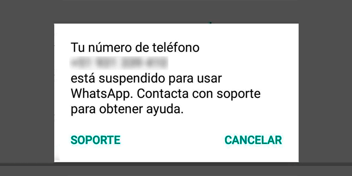 Actualizar frecuentemente la aplicación para evitar que baneen tu cuenta en WhatsApp Plus