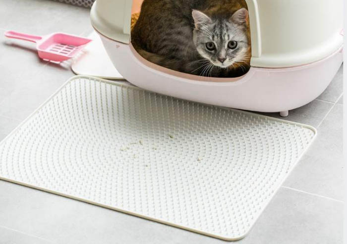 Alfrombra para atrapar piedras de gato