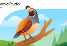 Android Studio Quail 4 todas las novedades y cómo descargar