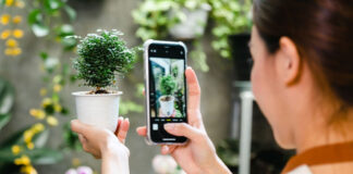 Cuidado: las aplicaciones para identificar plantas no son nada fiables