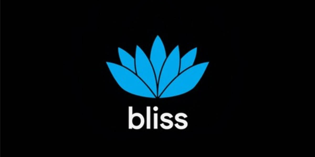 Bliss OS Android x86