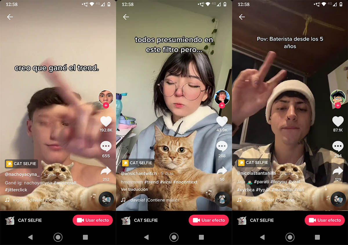 Cat Selfie efecto TikTok
