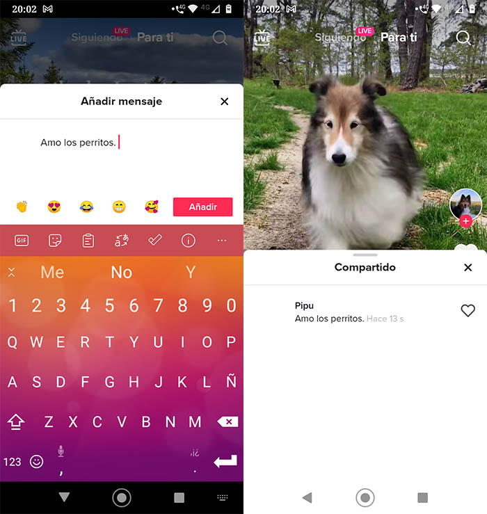 Comentar repost video TikTok