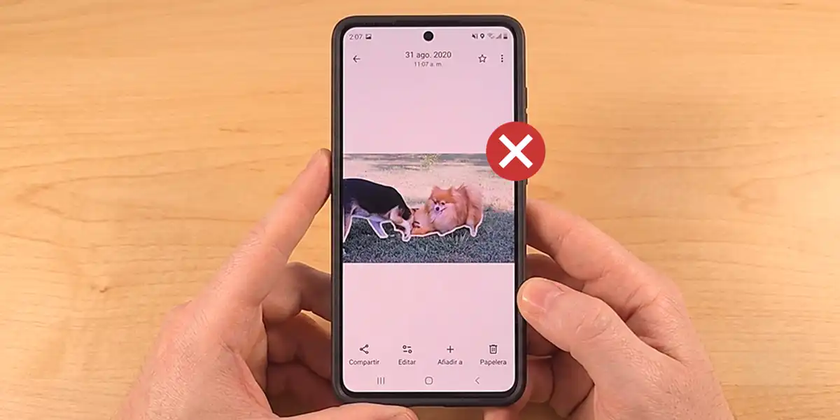 ¿Harto del molesto efecto de destello que Google Fotos pone a tus fotos? Te enseñamos a quitarlo