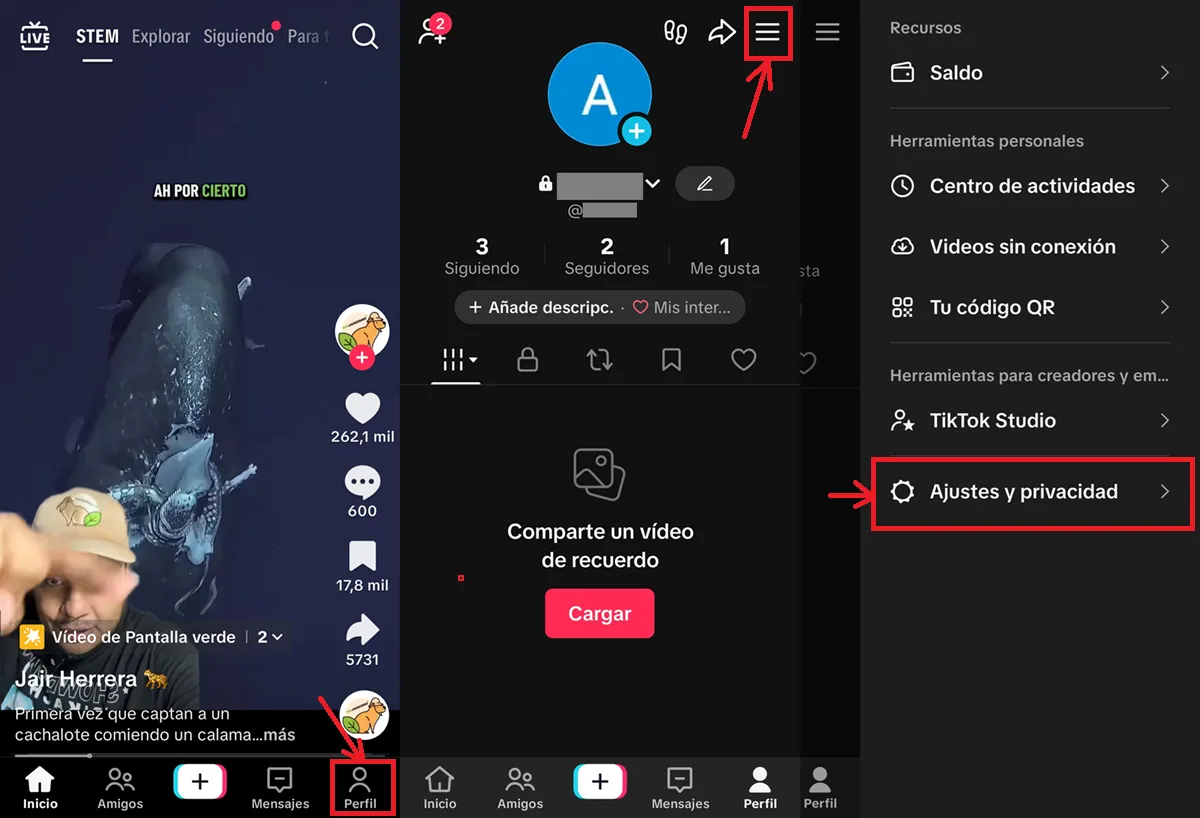 Como quitar feed STEM de TikTok