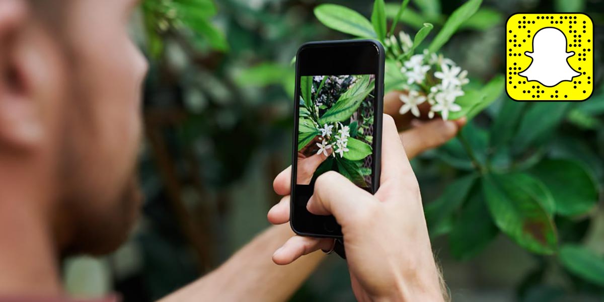 Como reconocer cualquier planta con un filto de Snapchat