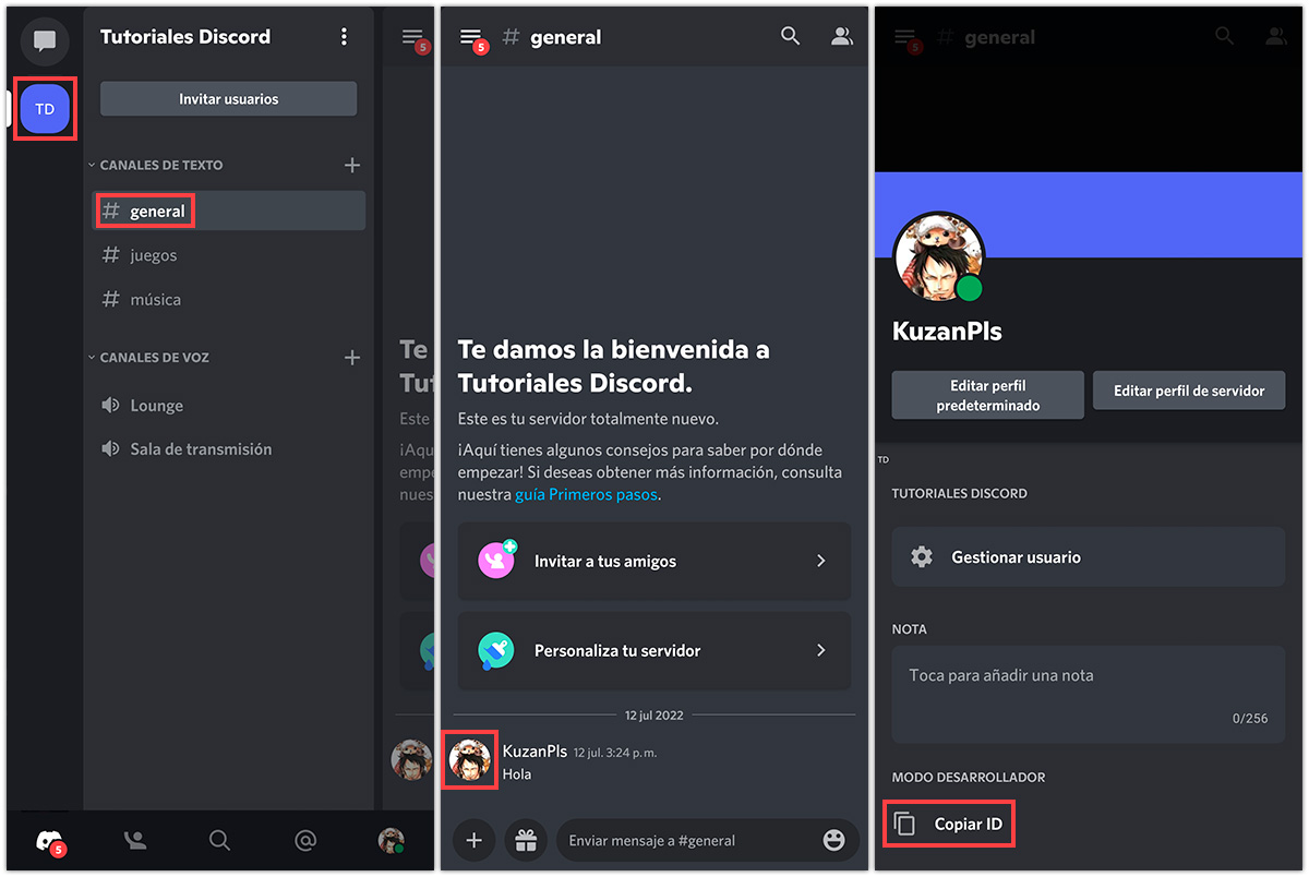 Como saber ID de Discord Movil