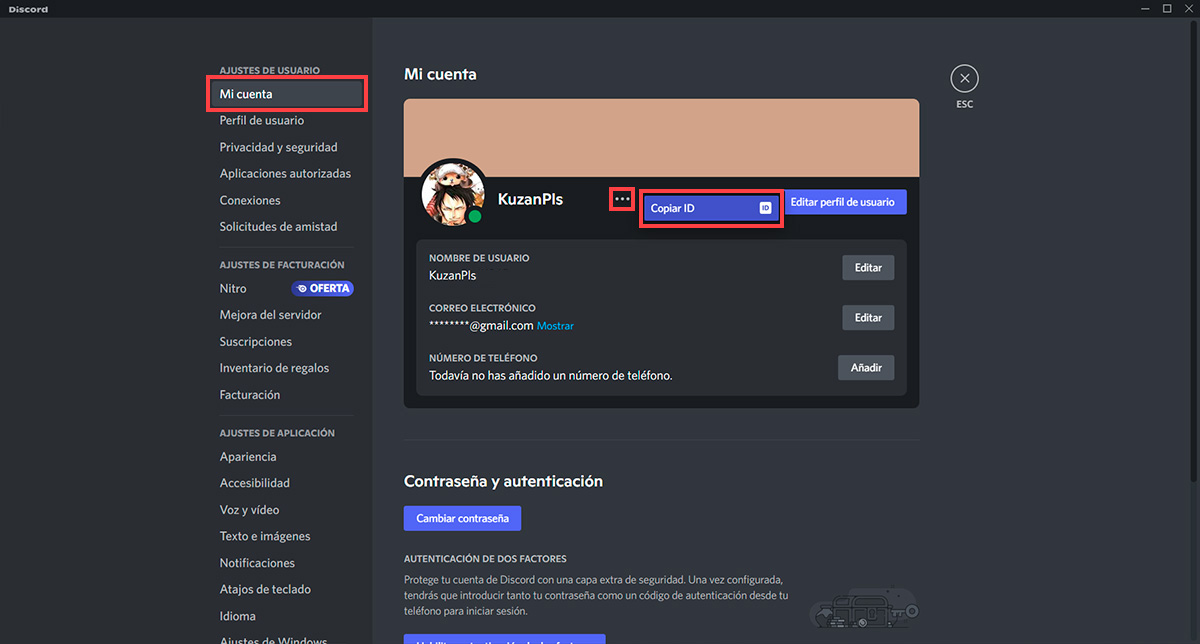 Como saber ID de Discord PC 4