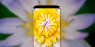 Cómo tomar fotos macro con tu móvil: trucos y consejos