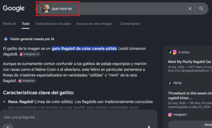Cómo usar "Rodear para buscar" de Google en Windows