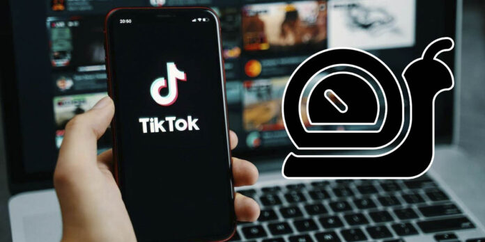 Como ver videos de TikTok en camara lenta