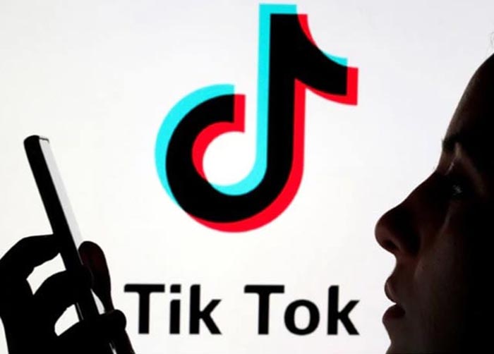 Copia de seguridad TikTok
