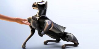 CyberDog 2 caracteristicas precio y todo sobre el perro robot de Xiaomi