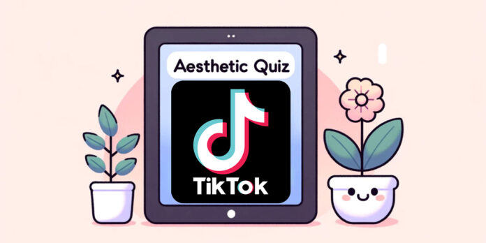 Descubre cuál es tu vibra aesthetic con este filtro de TikTok