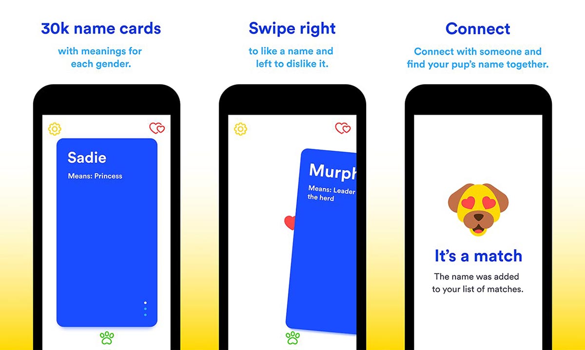 Dogname app para encontrar nombres bonitos para perro