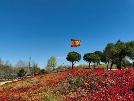 El sensor principal en accion POCO X8 Pro Max