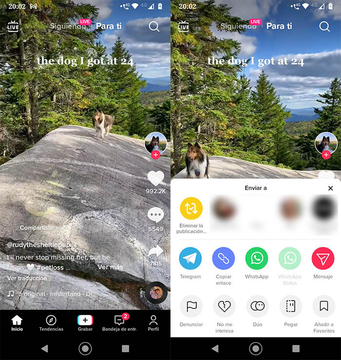 Eliminar repost TikTok