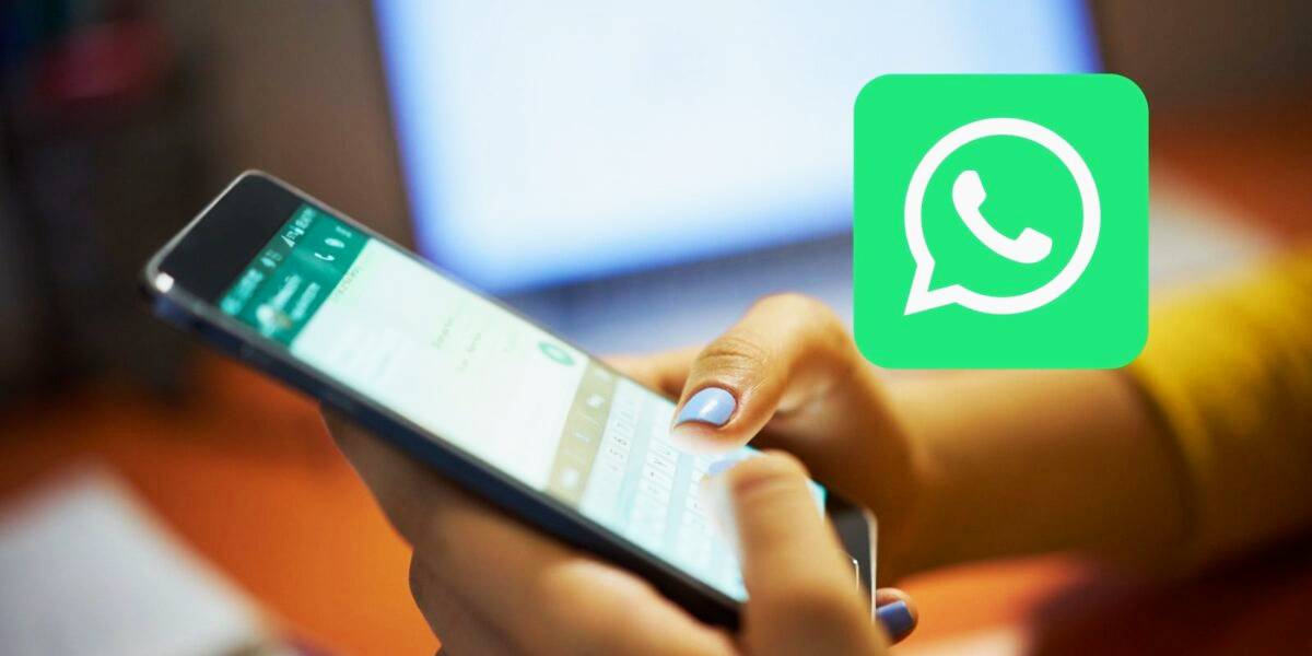 Entérate si alguien te ha agregado a whatsapp