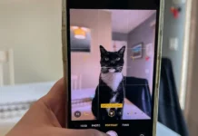Esta nueva IA de Samsung puede analizar el bienestar de tu mascota con tan solo una foto Esta IA de Samsung revisa la salud de tu mascota con una foto