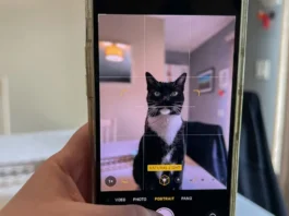 Esta IA de Samsung revisa la salud de tu mascota con una foto