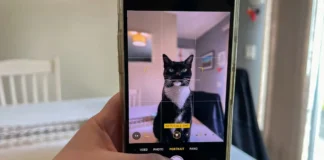 Esta IA de Samsung revisa la salud de tu mascota con una foto