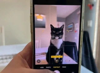 Esta nueva IA de Samsung puede analizar el bienestar de tu mascota con tan solo una foto Esta IA de Samsung revisa la salud de tu mascota con una foto
