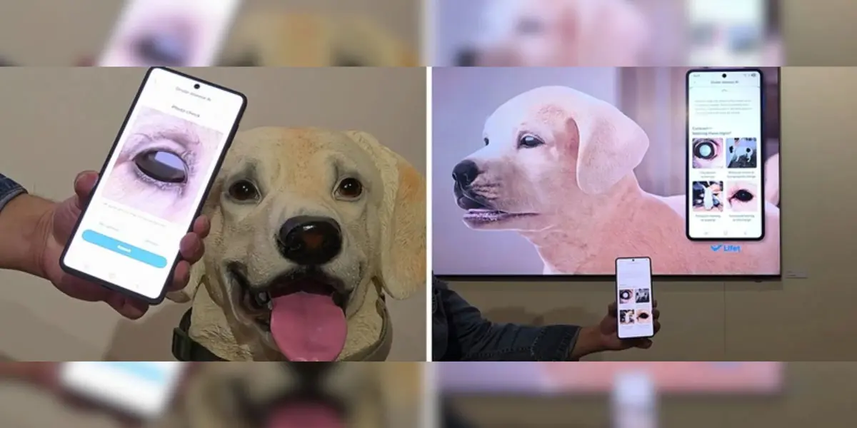 Esta IA de Samsung revisa la salud de tu mascota con una foto