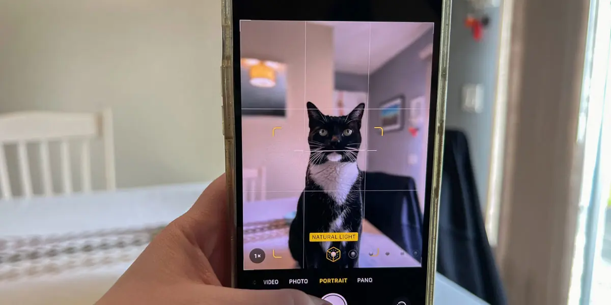 Esta nueva IA de Samsung puede analizar el bienestar de tu mascota con tan solo una foto