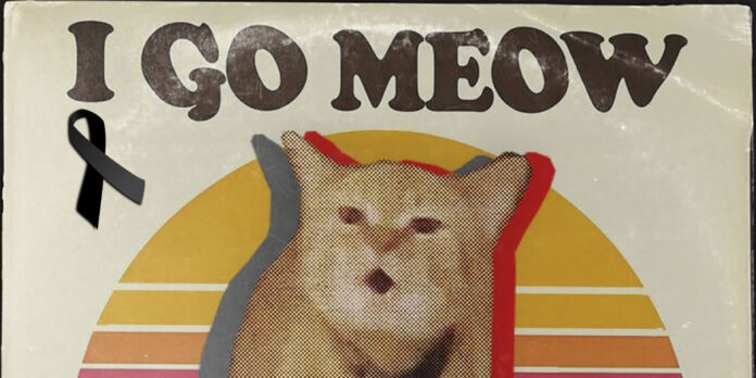 Falleció I Go Meow el gato cantante viral de TikTok