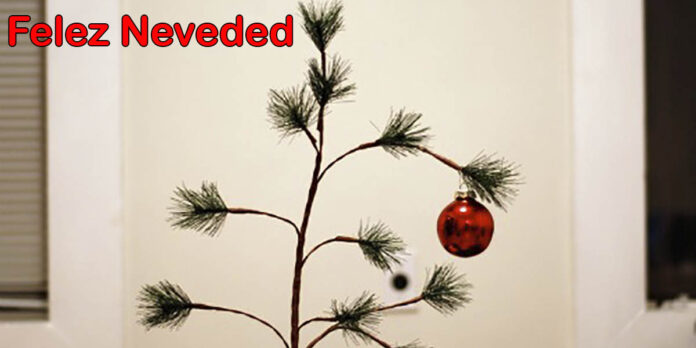 Felez Neveded contexto y vídeo original del audio viral de TikTok Felez Neveded contexto y vídeo original del audio viral de TikTok