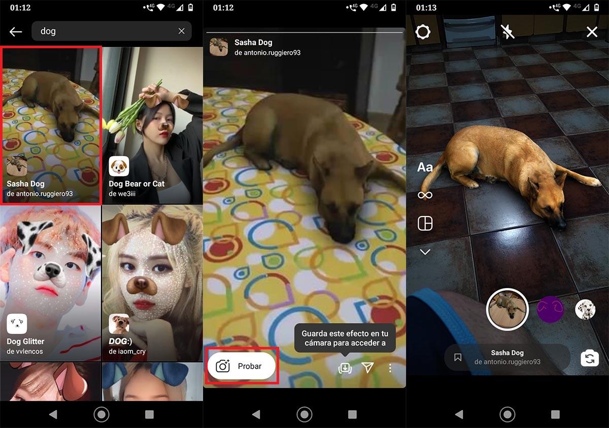 Filtro del perro acostado Instagram