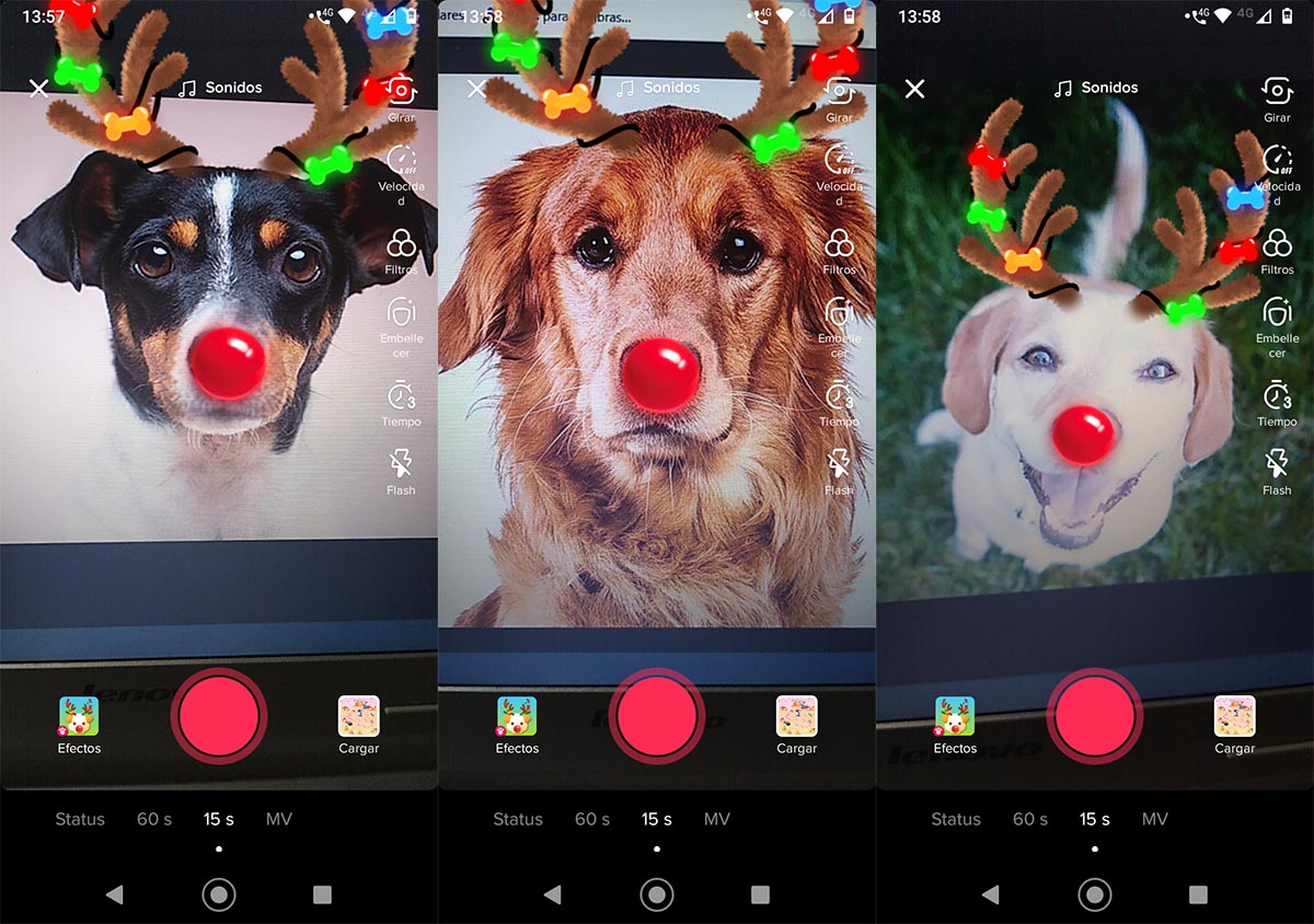 Filtro navidad para perros TikTok