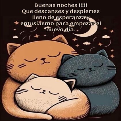 Foto de Buenas Noches de gatos