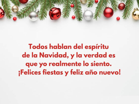 Frase Espiritu de la Navidad