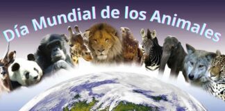 Frases e imagenes del Dia Mundial de los Animales para compartir