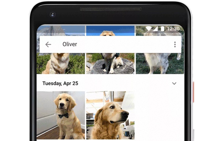 Google Fotos compartir fotos de mascotas