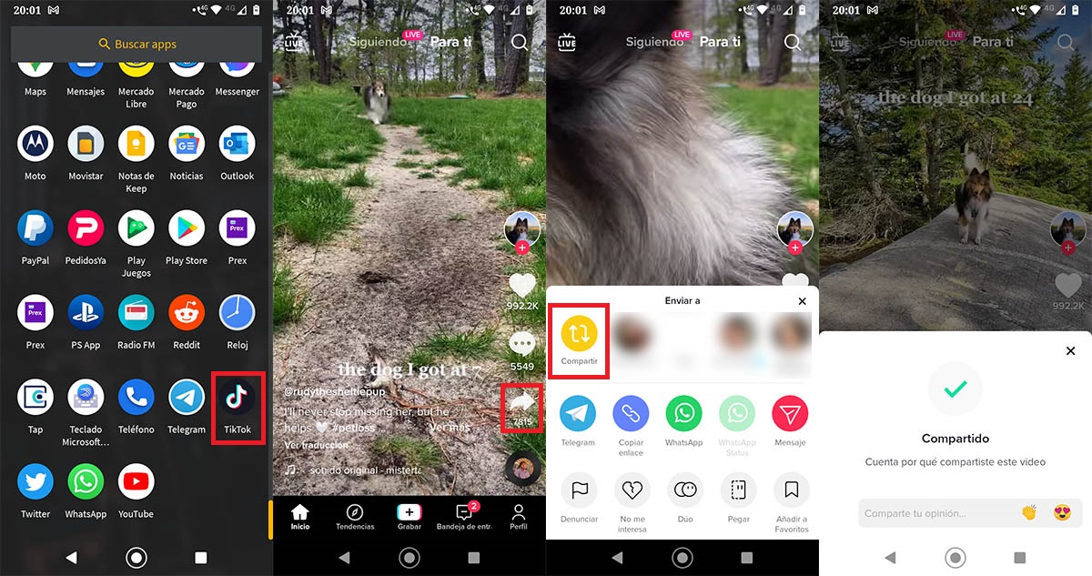 Hace repost video TikTok